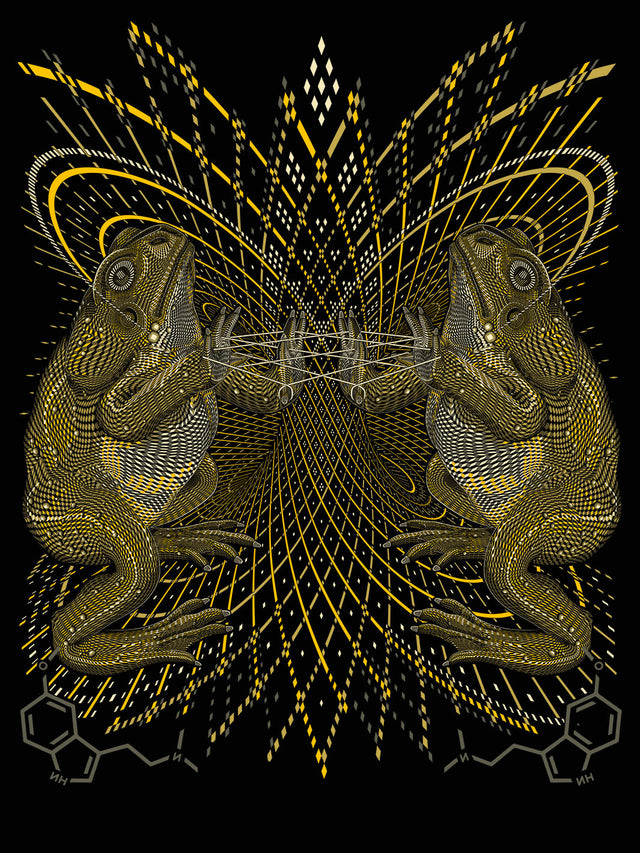 Mirror Image : Do you really see yourself in the mirror