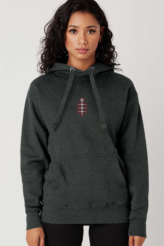 DMT Symbol - Color Embroidery - Men Hoodie