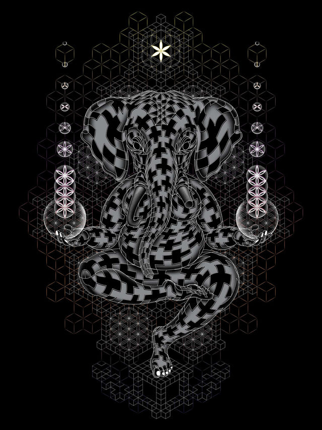 Ganescher Men T-Shirt - symbolika