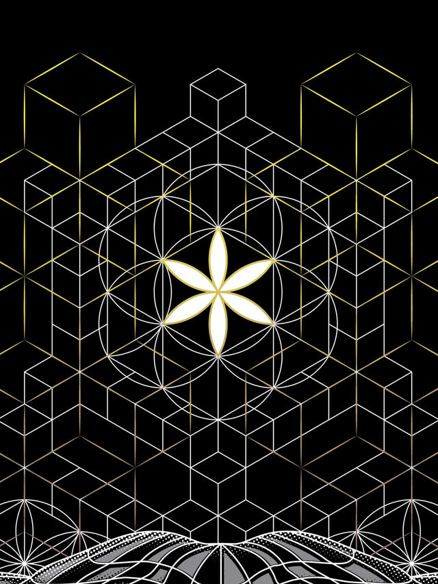 Ganescher Women Loose T-Shirt - symbolika