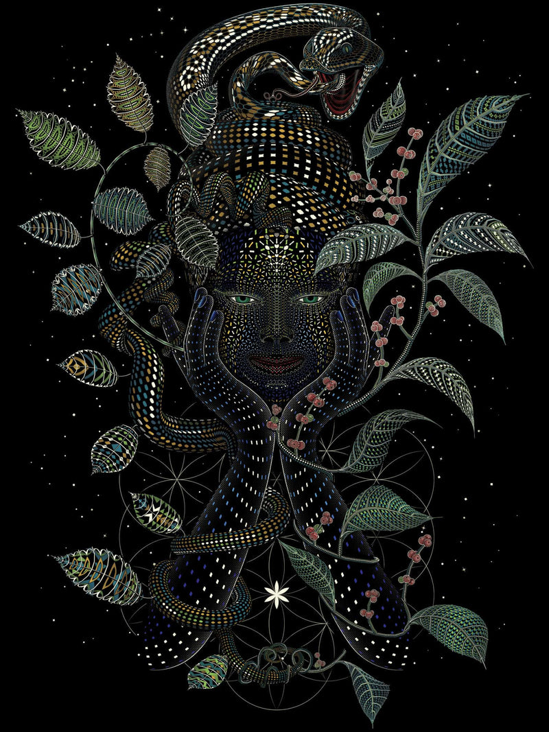The Impossible Chemistry of the Vine of the Soul