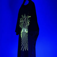 Bufo Alvarius Mirror Image