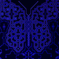 Shipibo Butterfly - Amazonian Healing Tradition