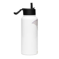 Stainless steel water bottle - Icaruna
