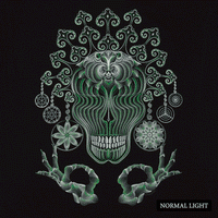 Gulgalta Damen T-Shirt – Slim Fit – Braun