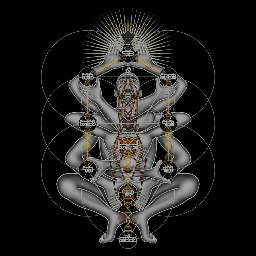 Dance Like A Tree T-Shirt Black — Image 2 by Symbolika