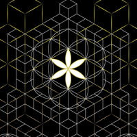 Ganescher Grey - Hindu God Tessellation Art Men's T-Shirt