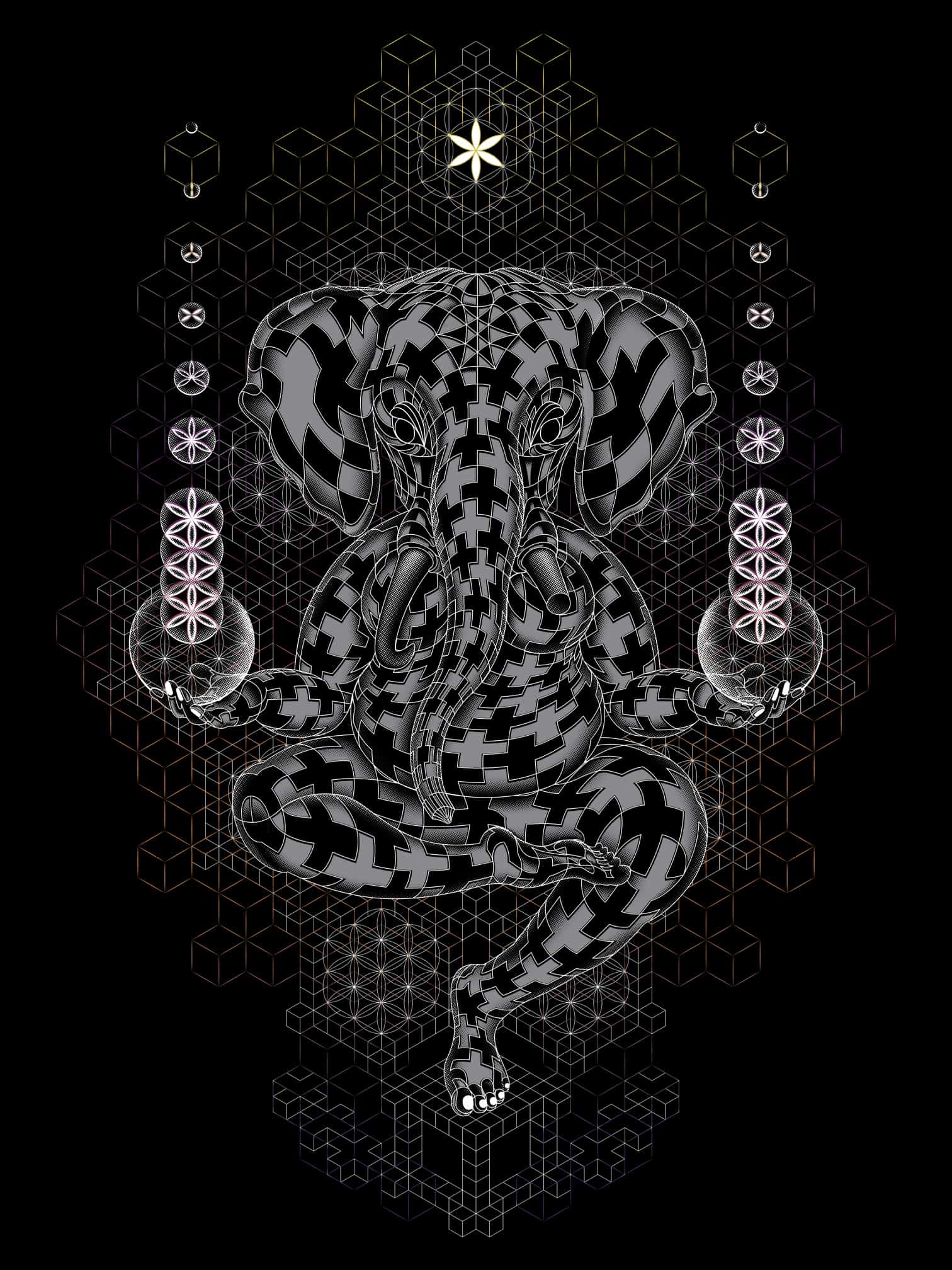 Ganescher Loose T-Shirt Choice of Colors — Image 21 by Symbolika